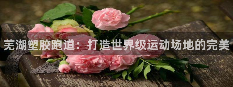 谈球吧体育app下载官网：芜湖塑胶跑道：打造世界级运