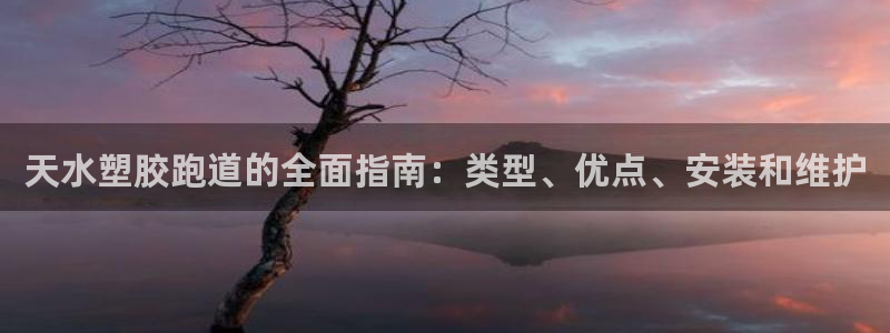 谈球吧体育赛事：天水塑胶跑道的全面指南：类型、优点、