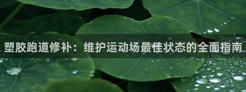 谈球吧中国官方网站：塑胶跑道修补：维护运动场最佳状态的全面指南