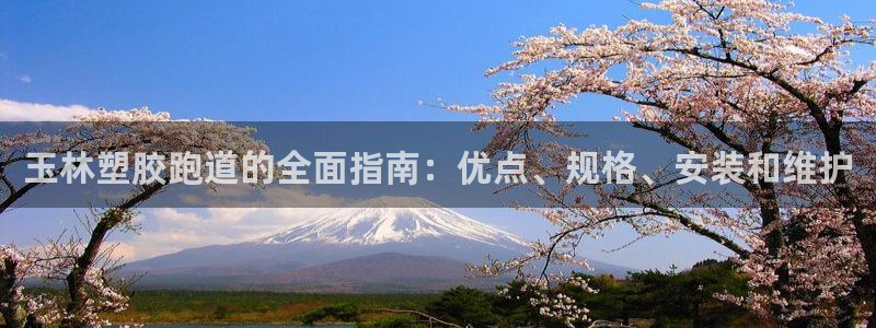 谈球吧网页登陆：玉林塑胶跑道的全面指南：优点、规格、安装和维护