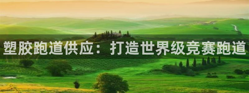 谈球吧体育赛事：塑胶跑道供应：打造世界级竞赛跑道