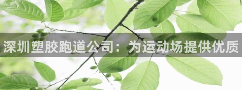 谈球吧app靠谱吗：深圳塑胶跑道公司：为运动场提供优质