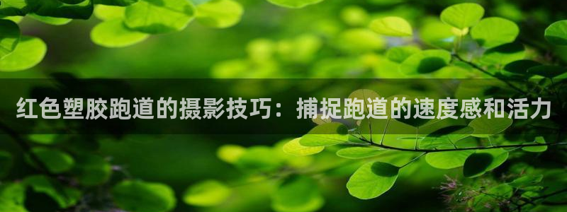 谈球吧网页登录：红色塑胶跑道的摄影技巧：捕捉跑道的速度感和活力