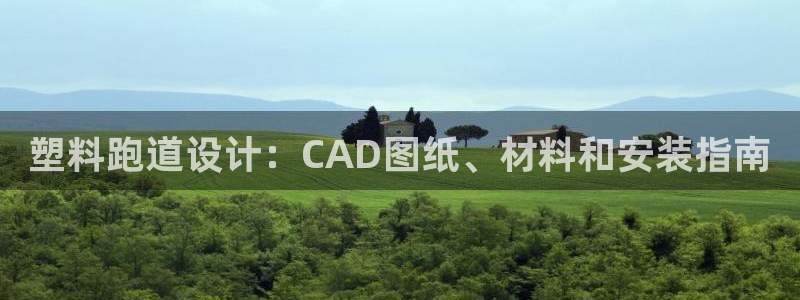 谈球吧App：塑料跑道设计：CAD图纸、材料和安装指南