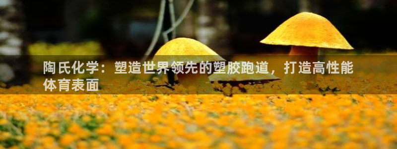 谈球吧怎么样:陶氏化学:塑造世界领先的塑胶跑道,打造高性能