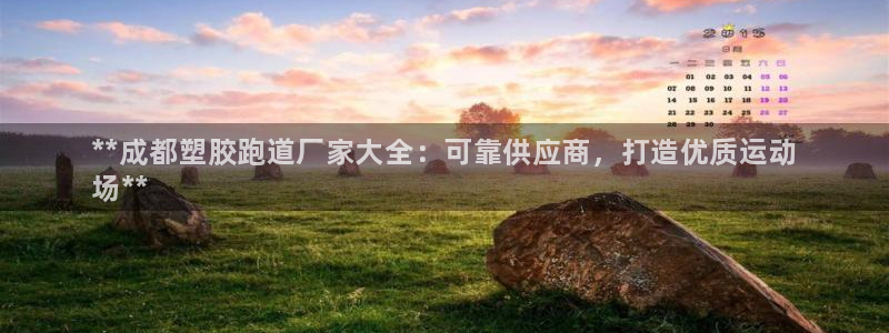 谈球吧APP:**成都塑胶跑道厂家大全:可靠供应商,打造优质